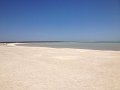 Shark Bay Shell Beach (8)